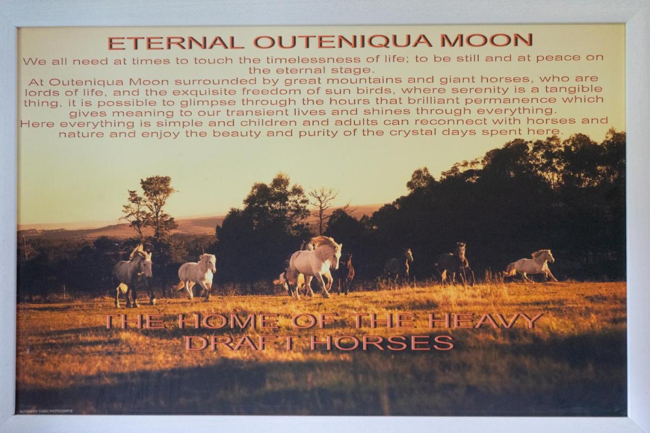Outeniqua Moon Percheron Stud Farm Ruiterbos Екстериор снимка